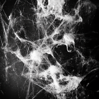 Airborne asbestos contamination