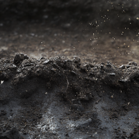 Asbestos contamination in soil